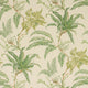 Woodfern Ashdown Green Wallpaper By Colefax and Fowler