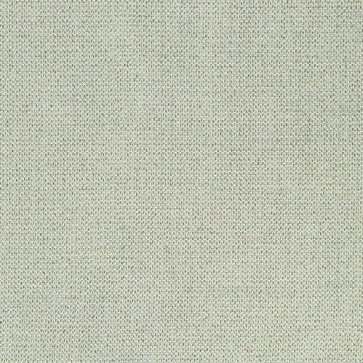 Bizette Moss Signature Textures Fabric by Thibaut