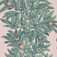 Medlar Mansfield Park Wallpaper By Osborne & Little
