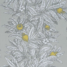 W7458-02 Medlar Mansfield Park Wallpaper By Osborne & Little