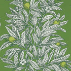 W7458-05 Medlar Mansfield Park Wallpaper By Osborne & Little