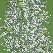 W7458-05 Medlar Mansfield Park Wallpaper By Osborne & Little