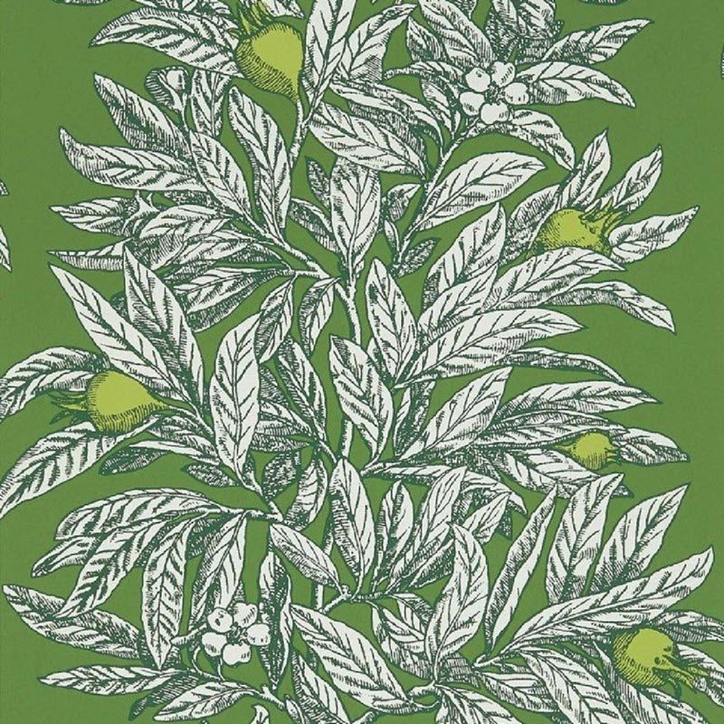 W7458-05 Medlar Mansfield Park Wallpaper By Osborne & Little