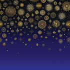 W7495-01 Celestia Midnight Wallpaper by Matthew Williamson