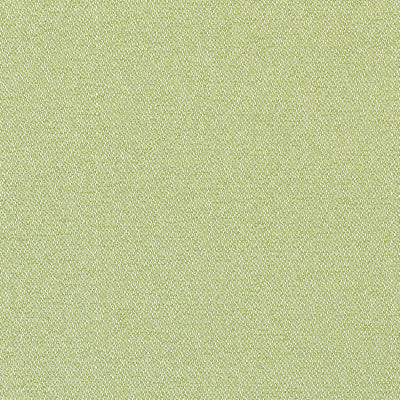Castaway Kiwi Soleil Fabric by Thibaut