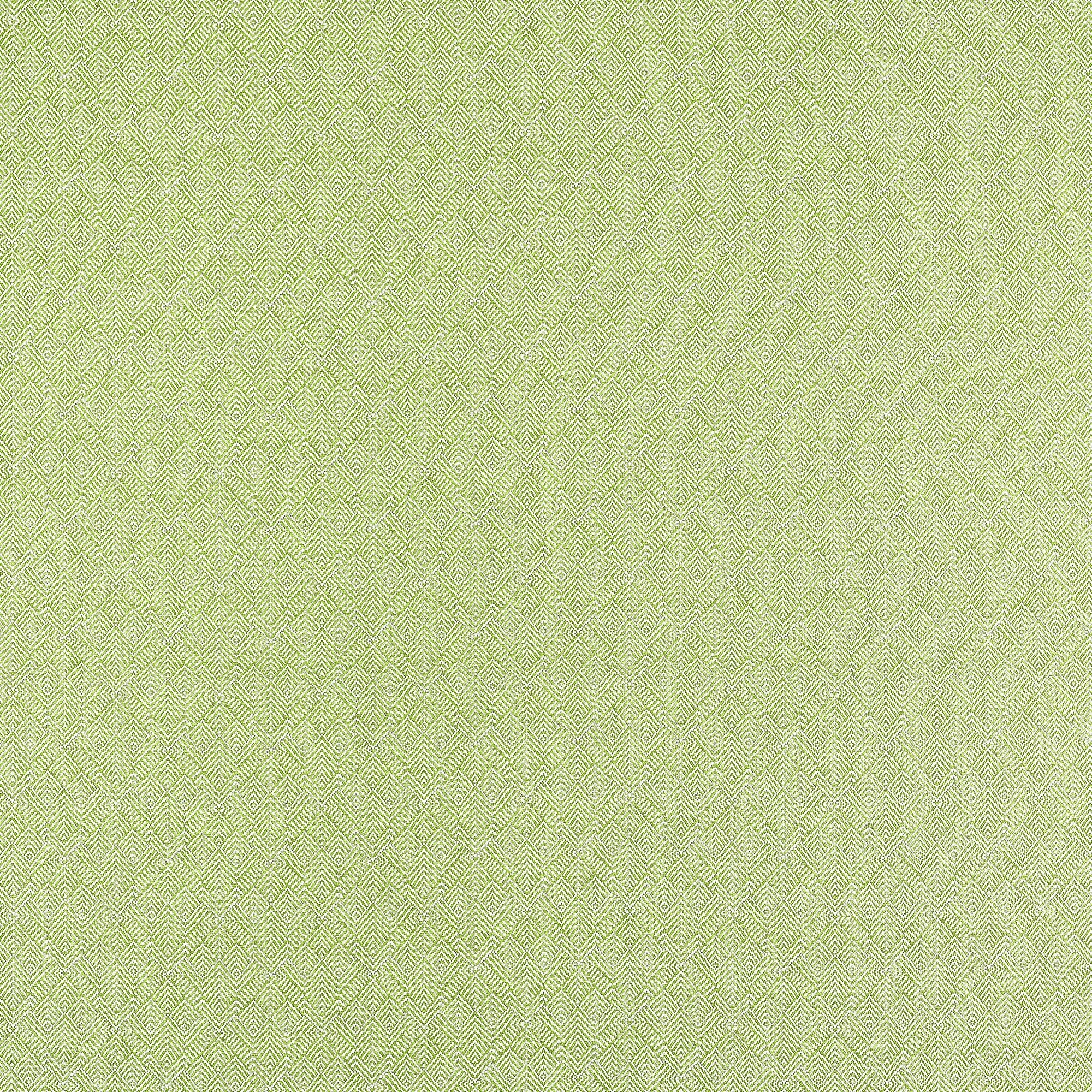 W81716 Calista Kiwi Soleil Fabric by Thibaut