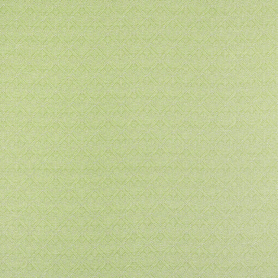 Calista Kiwi Soleil Fabric by Thibaut