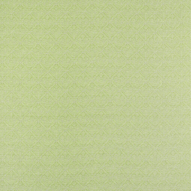 W81716 Calista Kiwi Soleil Fabric by Thibaut