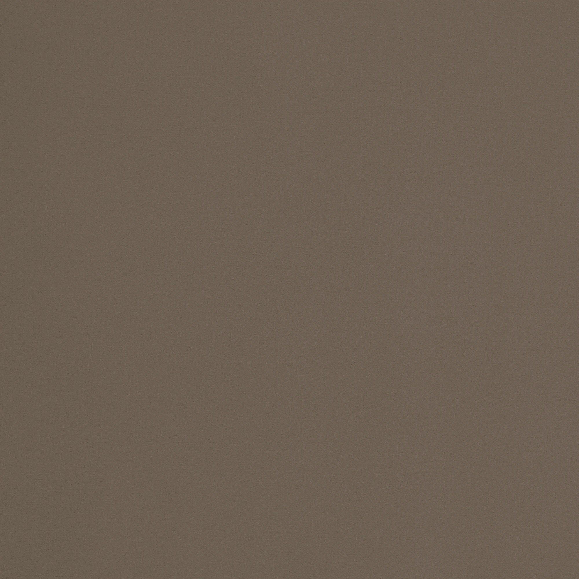 W81738 Mirasol Velvet Cafe Soleil Fabric by Thibaut