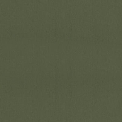 Mirasol Velvet Juniper Soleil Fabric by Thibaut