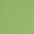 Palmer Kiwi Soleil Fabric by Thibaut