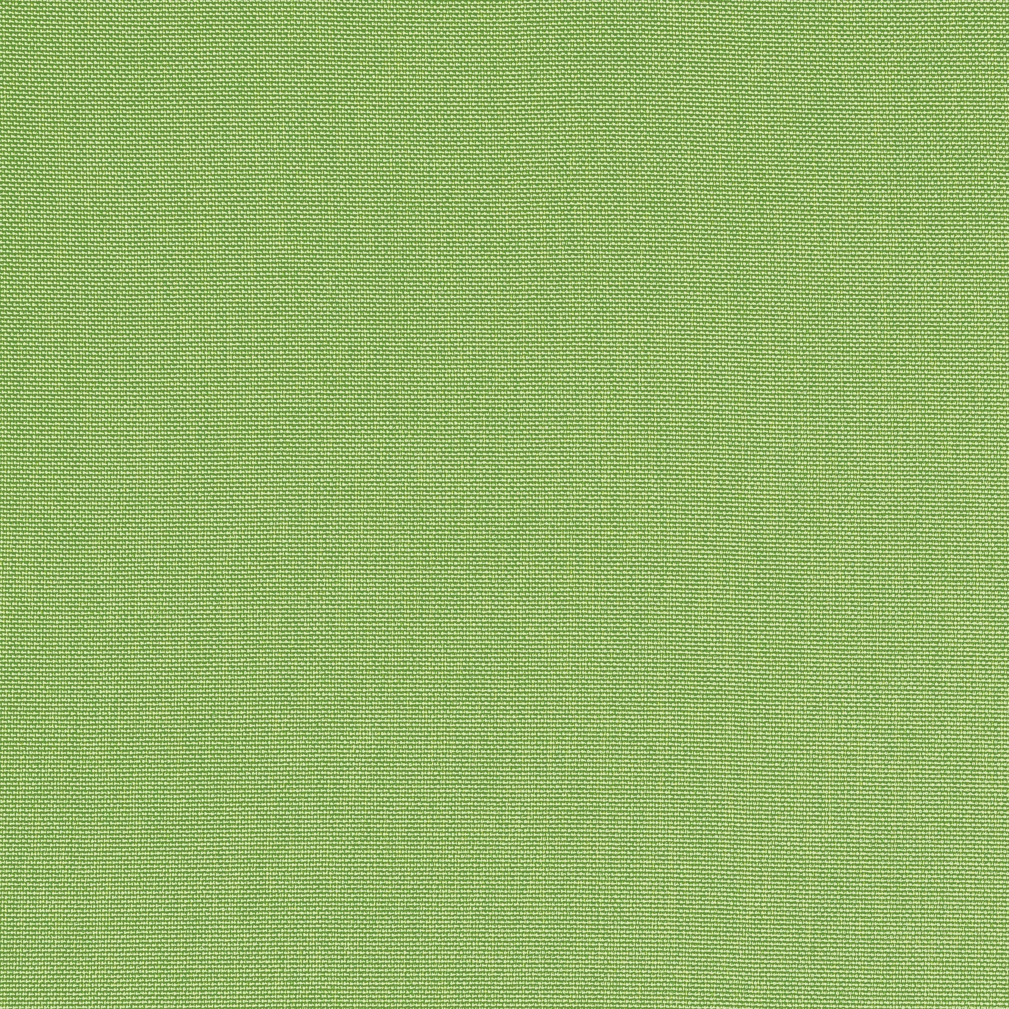 W81752 Palmer Kiwi Soleil Fabric by Thibaut