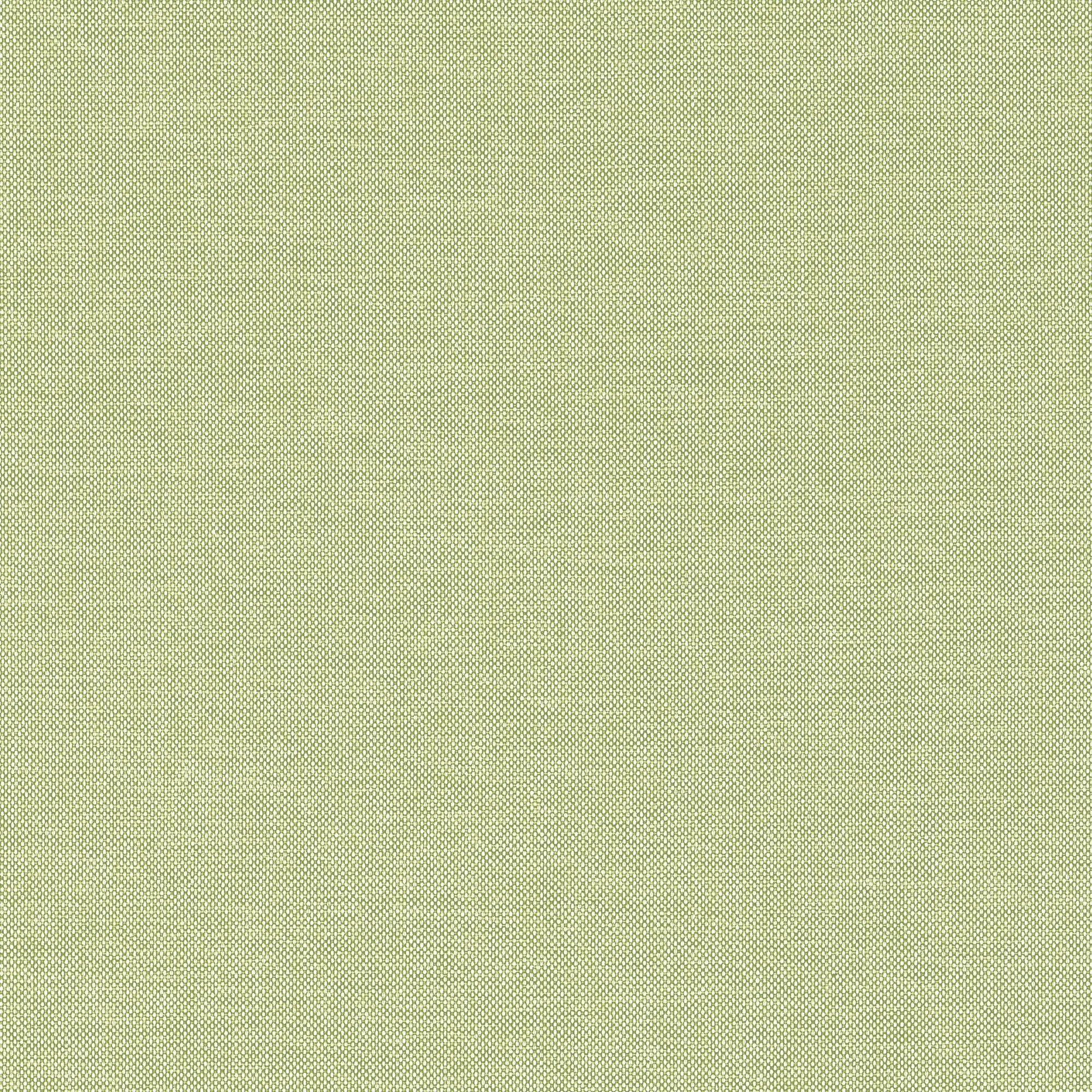 W81759 Finn Kiwi Soleil Fabric by Thibaut