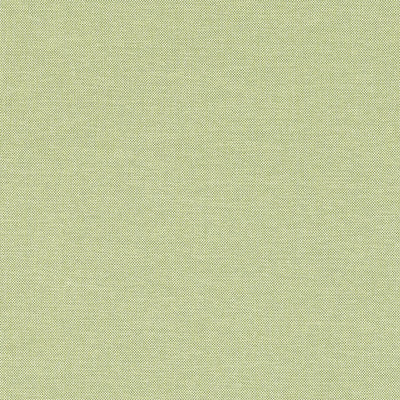 Finn Kiwi Soleil Fabric by Thibaut