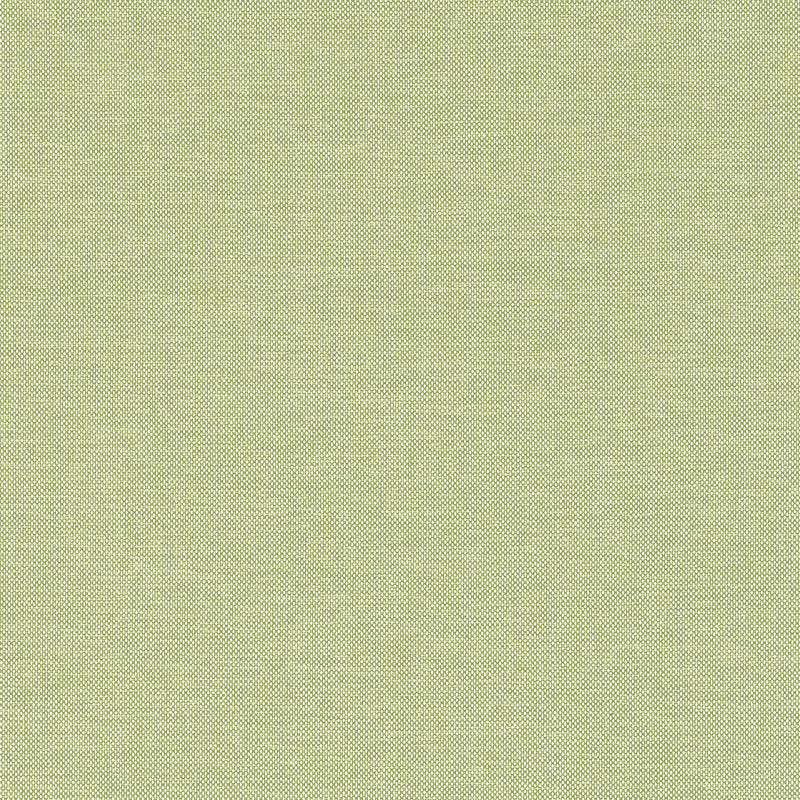 W81759 Finn Kiwi Soleil Fabric by Thibaut