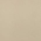W9000 Cordoba Sand Vegan Leathers Fabric by Thibaut