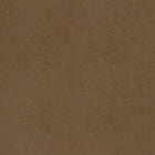W9004 Cordoba Acorn Vegan Leathers Fabric by Thibaut