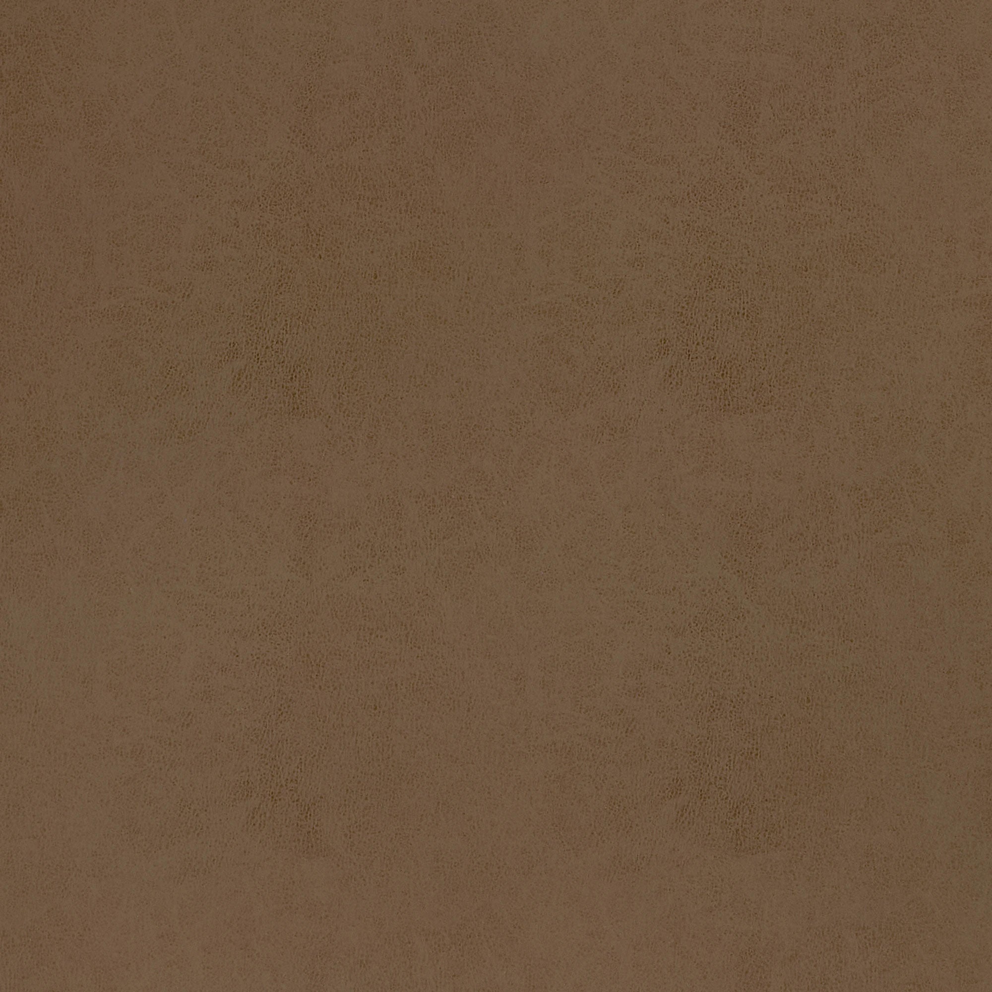 W9004 Cordoba Acorn Vegan Leathers Fabric by Thibaut