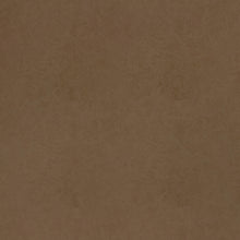 W9004 Cordoba Acorn Vegan Leathers Fabric by Thibaut