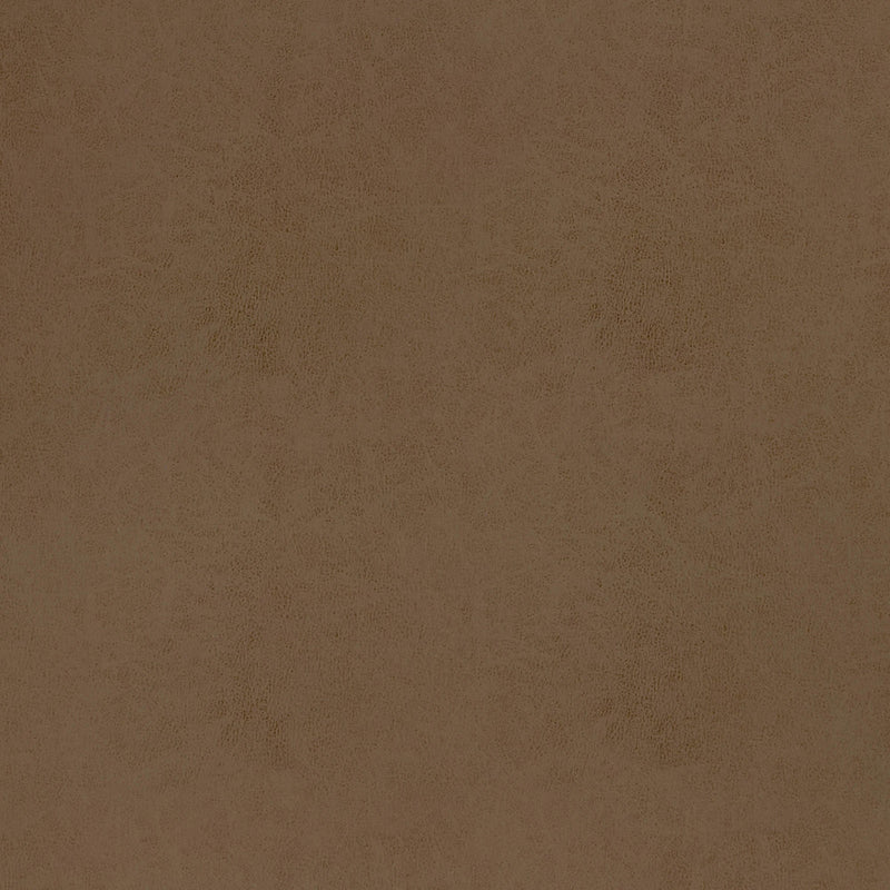 W9004 Cordoba Acorn Vegan Leathers Fabric by Thibaut