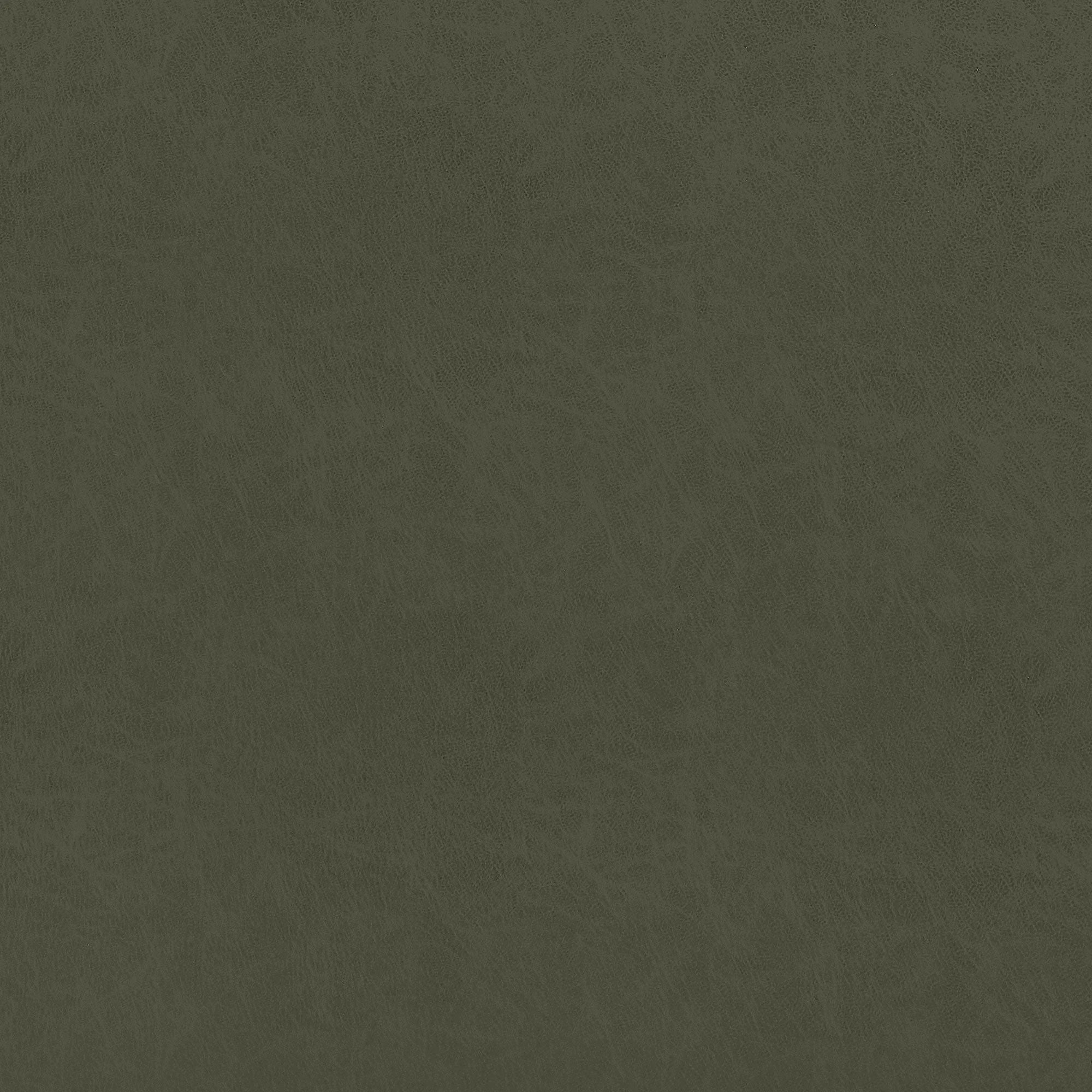 W9005 Cordoba Olive Vegan Leathers Fabric by Thibaut