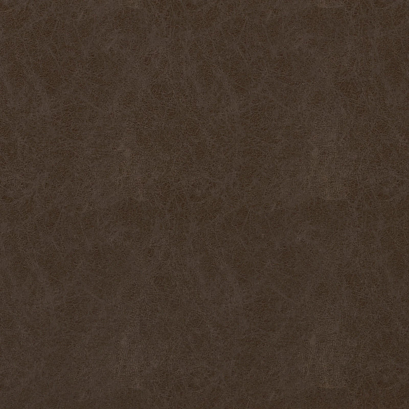 W9006 Cordoba Coffee Vegan Leathers Fabric by Thibaut