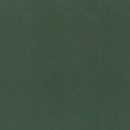 Cordoba Shamrock Vegan Leathers Fabric by Thibaut