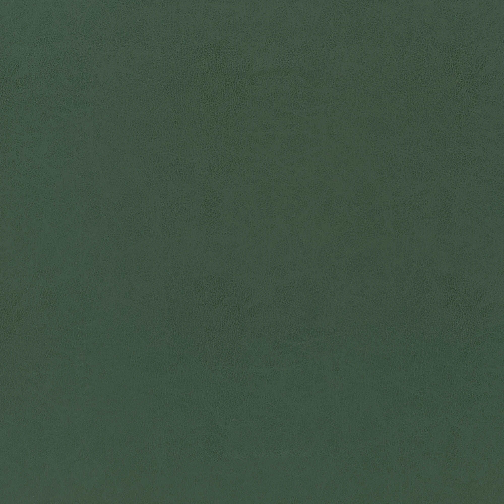 W9007 Cordoba Shamrock Vegan Leathers Fabric by Thibaut