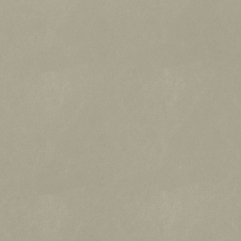 W9010 Cordoba Stone Vegan Leathers Fabric by Thibaut