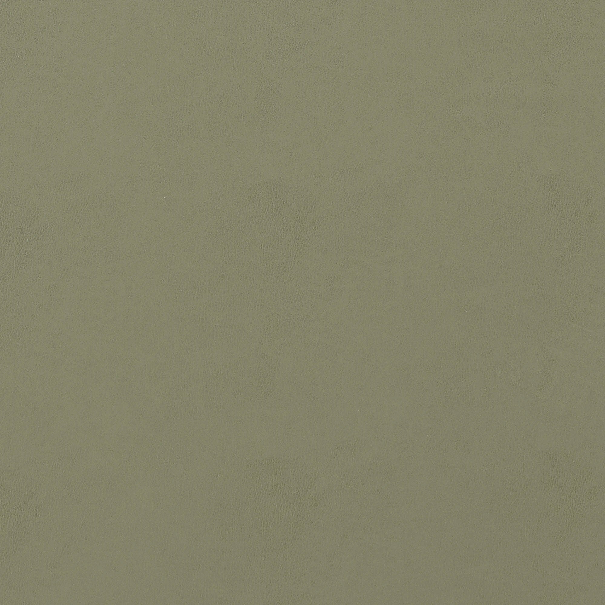 W9011 Cordoba Loden Vegan Leathers Fabric by Thibaut