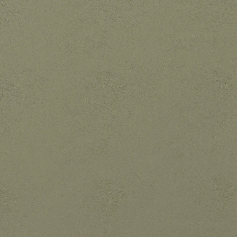 W9011 Cordoba Loden Vegan Leathers Fabric by Thibaut