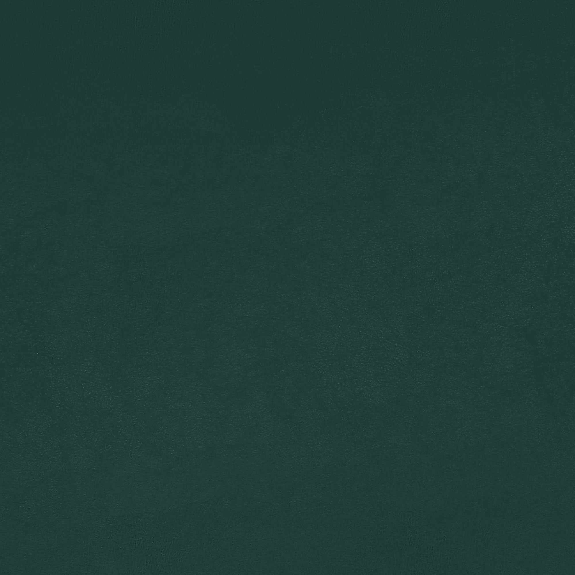 W9012 Cordoba Mallard Vegan Leathers Fabric by Thibaut