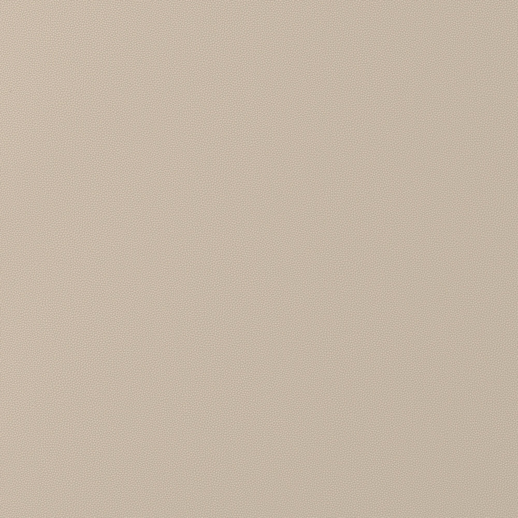 W9016 Salta Dune Vegan Leathers Fabric by Thibaut