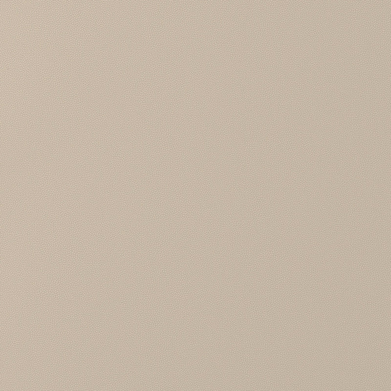 W9016 Salta Dune Vegan Leathers Fabric by Thibaut