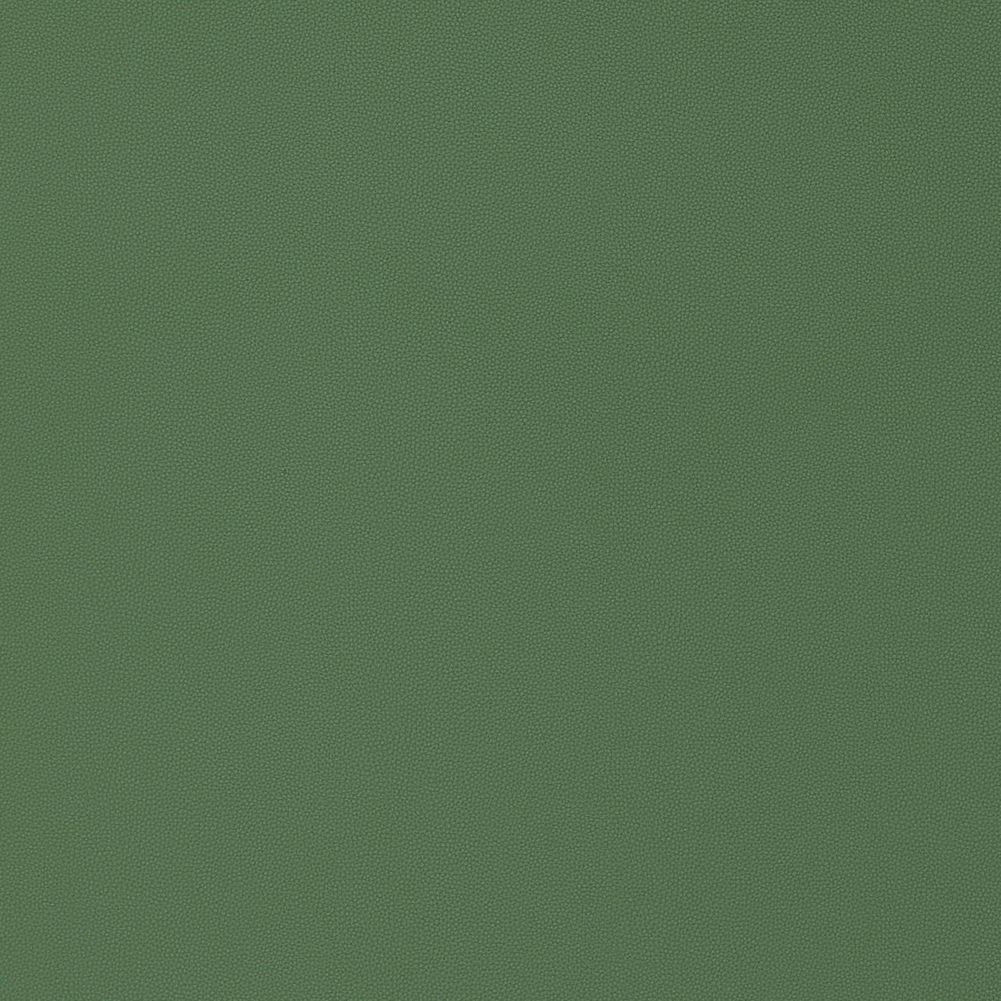 W9027 Salta Kelly Vegan Leathers Fabric by Thibaut