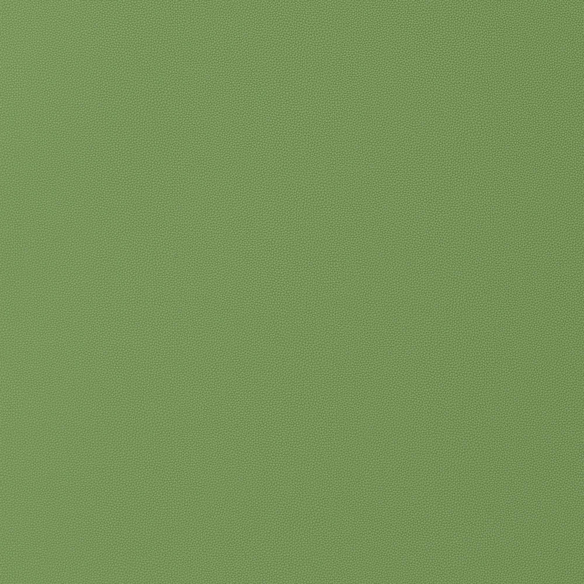 W9028 Salta Kiwi Vegan Leathers Fabric by Thibaut