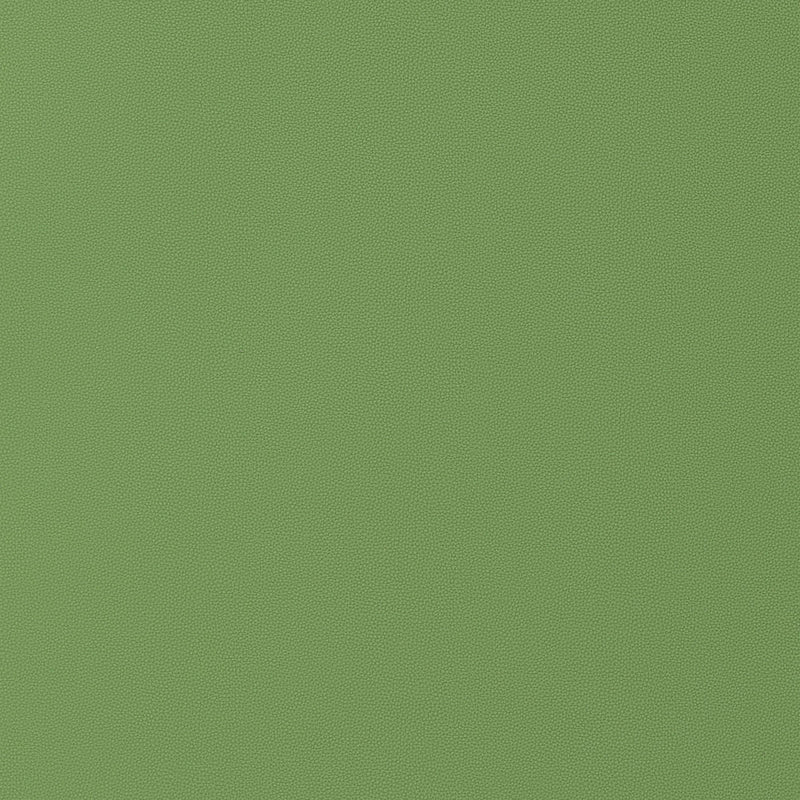W9028 Salta Kiwi Vegan Leathers Fabric by Thibaut