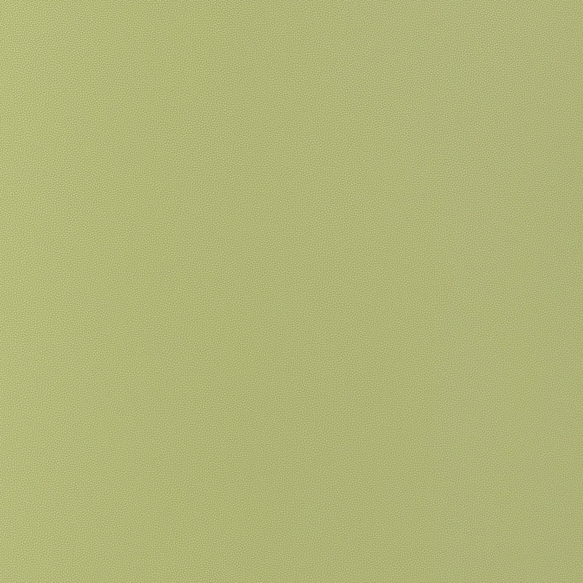 W9029 Salta Apple Vegan Leathers Fabric by Thibaut