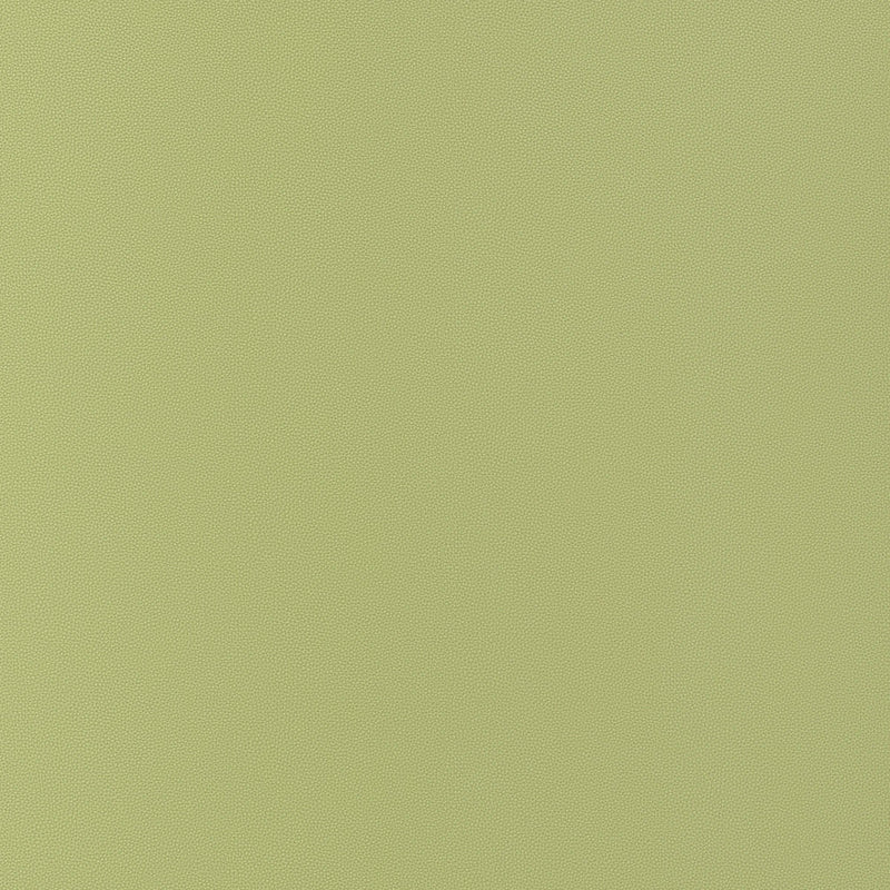 W9029 Salta Apple Vegan Leathers Fabric by Thibaut