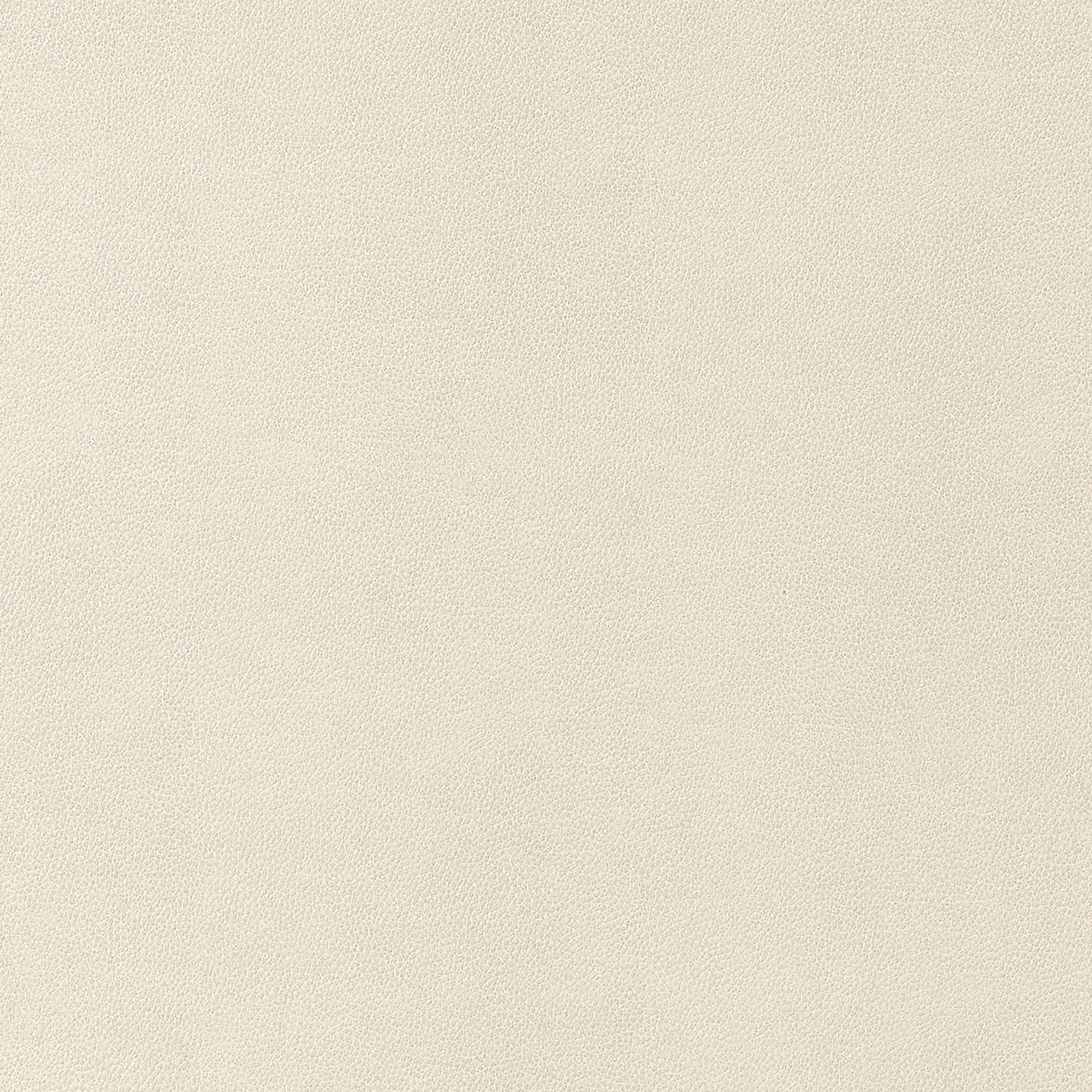 W9049 Gaucho Ecru Vegan Leathers Fabric by Thibaut