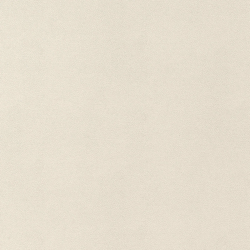 W9049 Gaucho Ecru Vegan Leathers Fabric by Thibaut