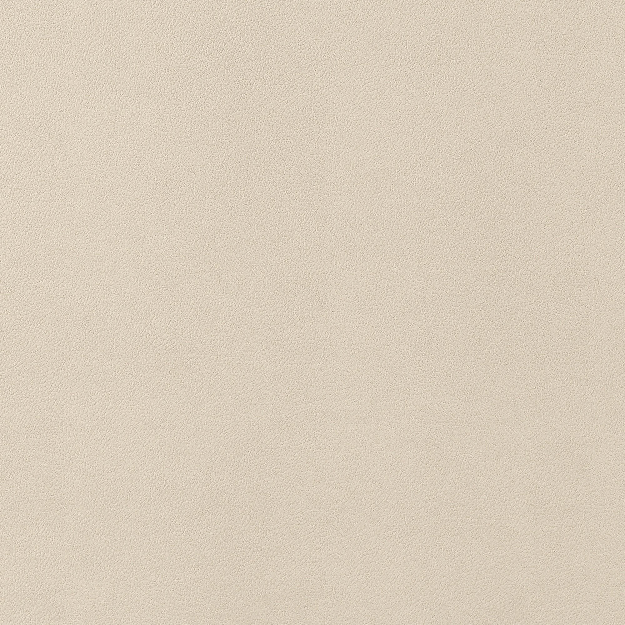 W9050 Gaucho Flax Vegan Leathers Fabric by Thibaut