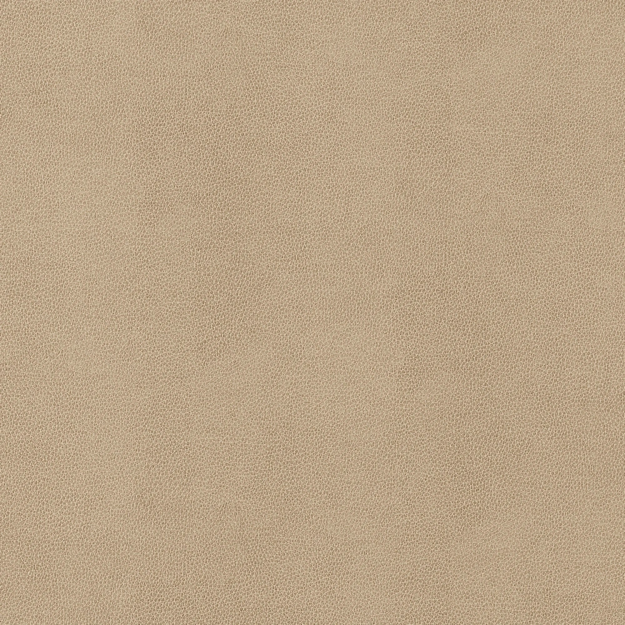 W9051 Gaucho Fawn Vegan Leathers Fabric by Thibaut