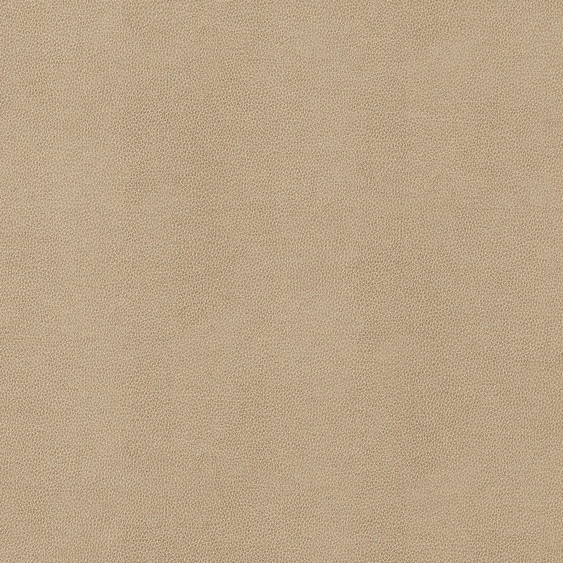 W9051 Gaucho Fawn Vegan Leathers Fabric by Thibaut