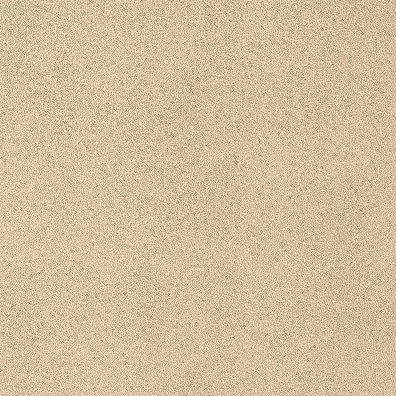 W9052 Gaucho Suede Vegan Leathers Fabric by Thibaut
