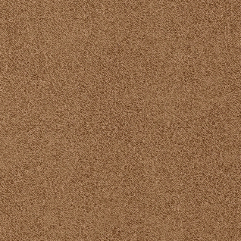 W9053 Gaucho Cedar Vegan Leathers Fabric by Thibaut