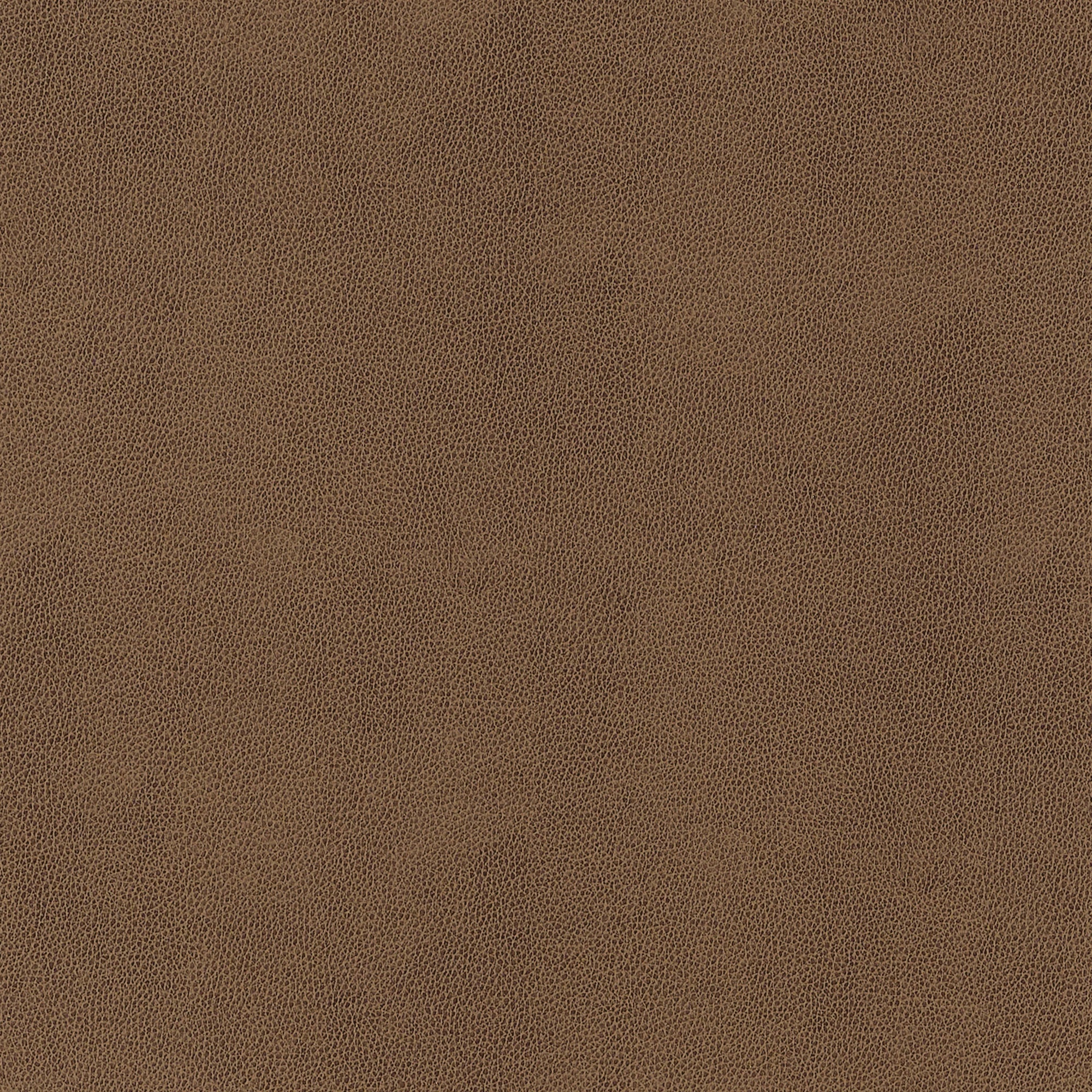 W9054 Gaucho Chestnut Vegan Leathers Fabric by Thibaut