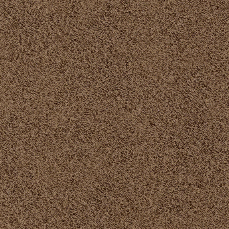 W9054 Gaucho Chestnut Vegan Leathers Fabric by Thibaut