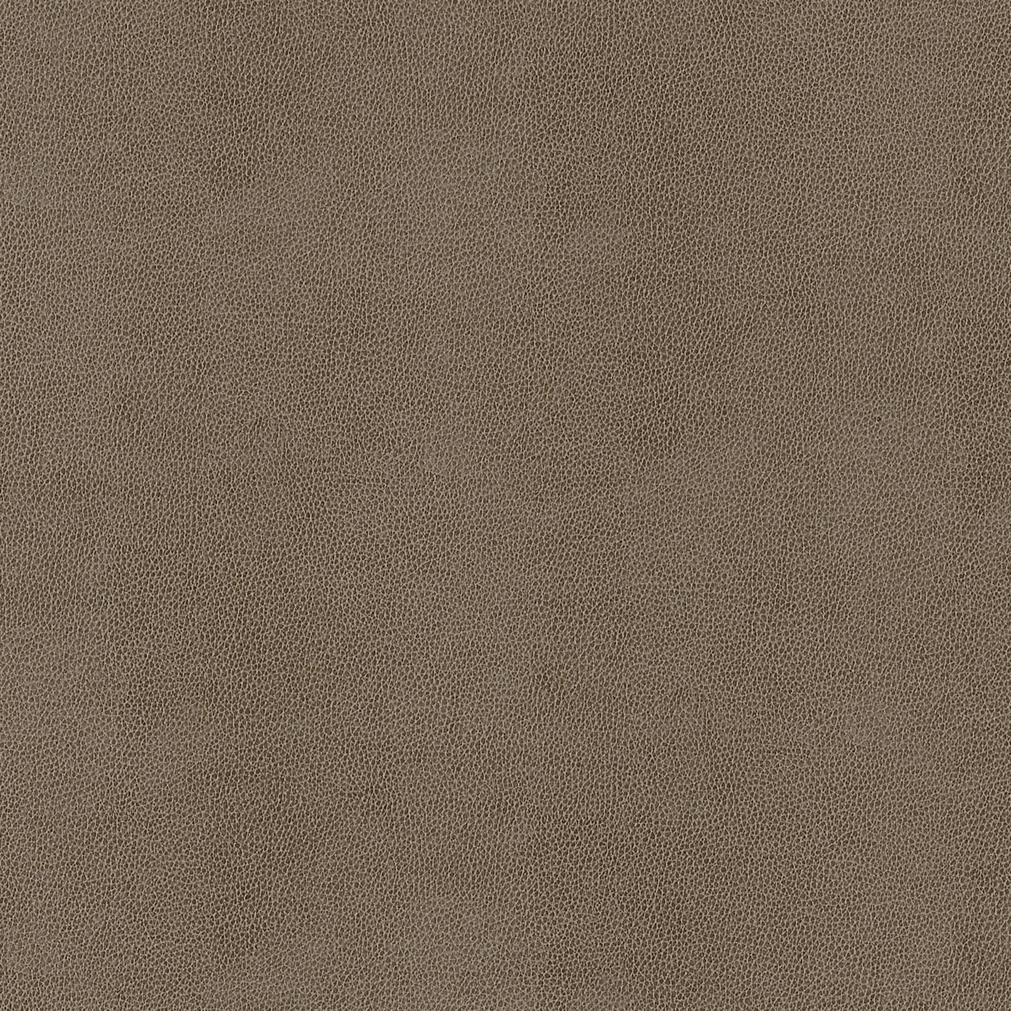 W9055 Gaucho Elk Vegan Leathers Fabric by Thibaut