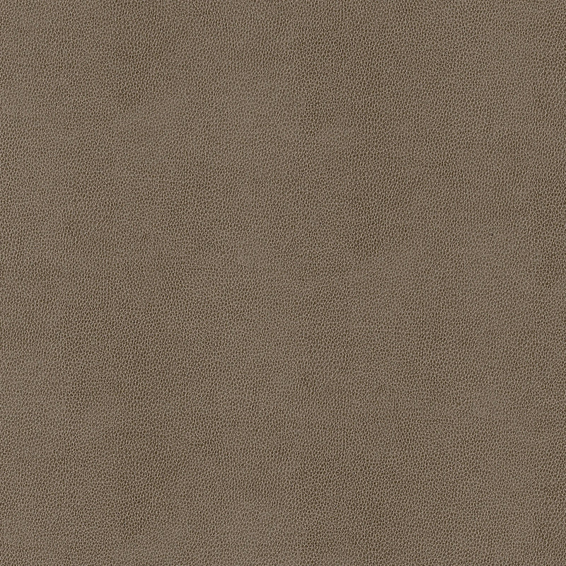 W9055 Gaucho Elk Vegan Leathers Fabric by Thibaut